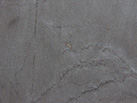 Ʒ-RSG STONE